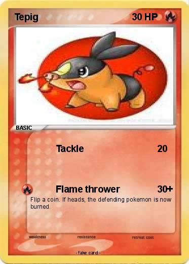 Pokemon Tepig