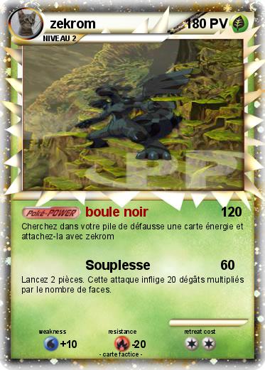 Pokemon zekrom