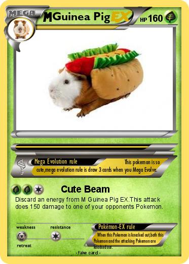 Pokemon Guinea Pig