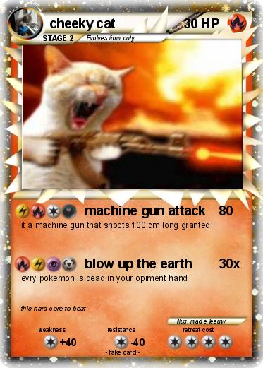 Pokemon cheeky cat