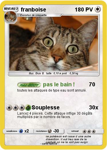 Pokemon franboise