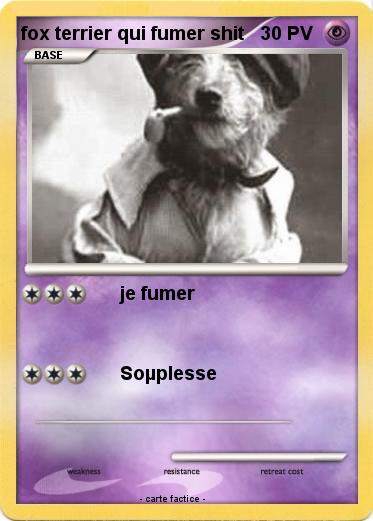 Pokemon fox terrier qui fumer shit