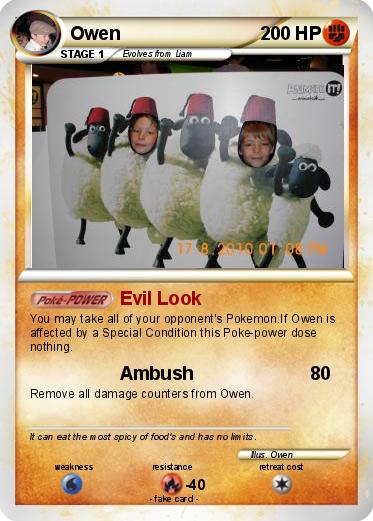 Pokemon Owen
