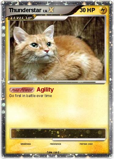Pokemon Thunderstar