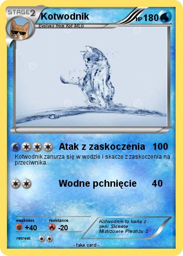 Pokemon Kotwodnik