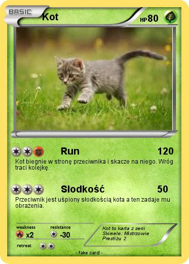 Pokemon Kot