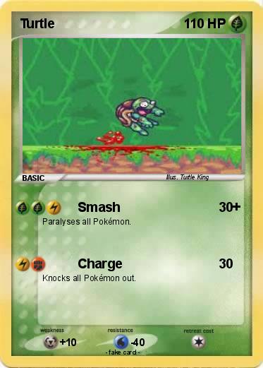 Pokemon Turtle