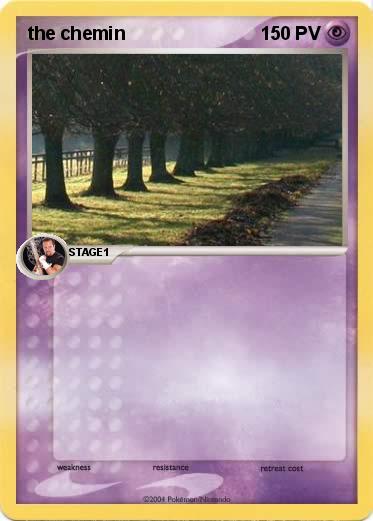 Pokemon the chemin