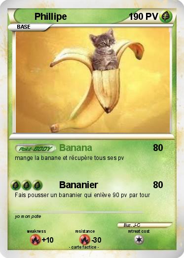 Pokemon Phillipe