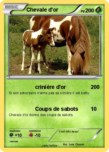 Pokemon Chevale d'or