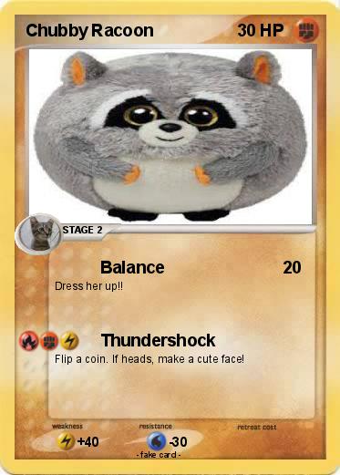 Pokemon Chubby Racoon