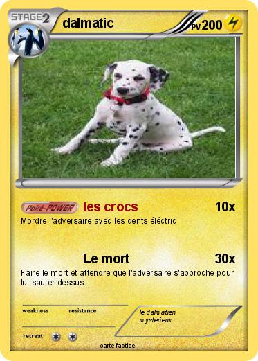 Pokemon dalmatic