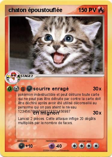 Pokemon chaton époustouflée