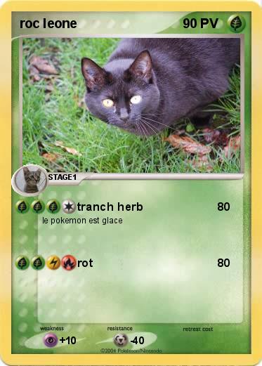 Pokemon roc leone