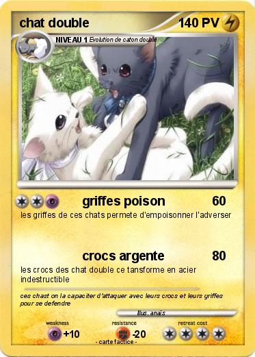 Pokemon chat double