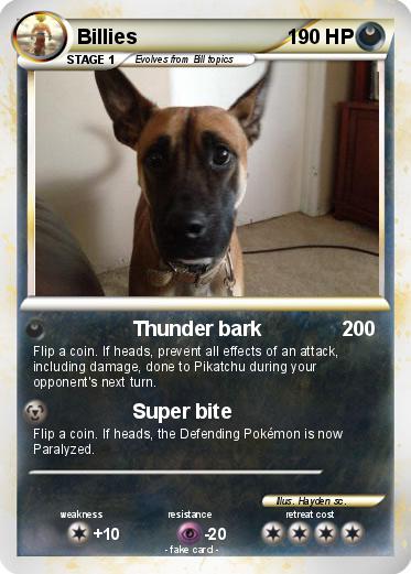 Pokemon Billies