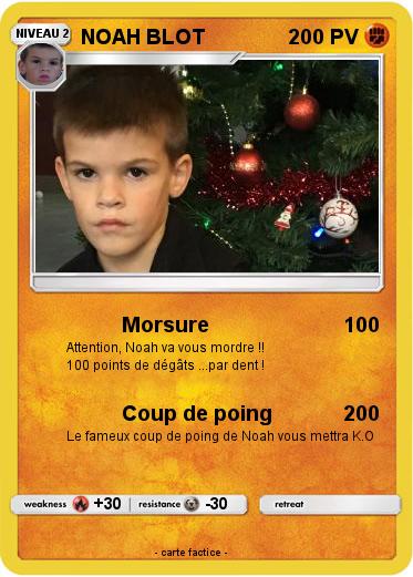 Pokemon NOAH BLOT