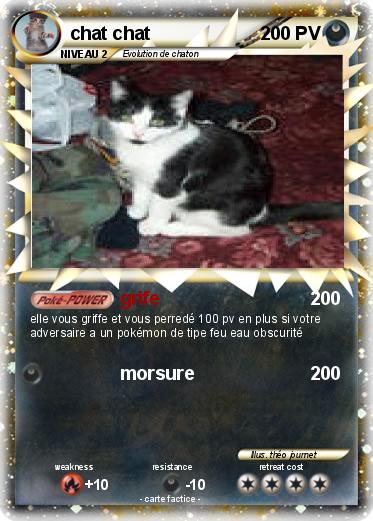 Pokemon chat chat