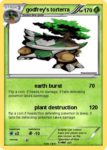 Pokemon godfrey's torterra