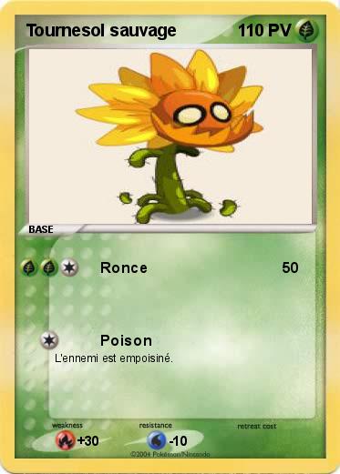 Pokemon Tournesol sauvage