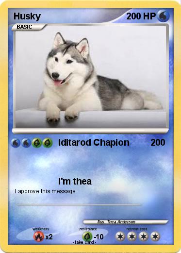 Pokemon Husky