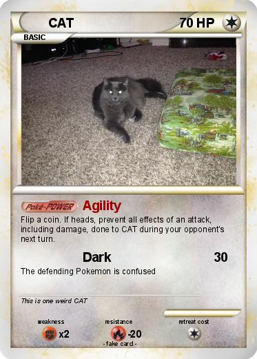 Pokemon CAT