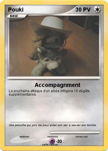 Pokemon Pouki