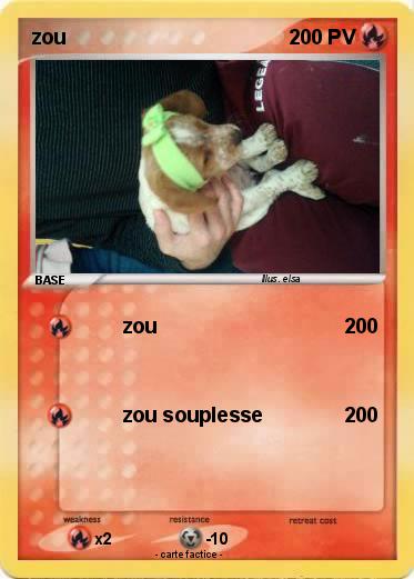 Pokemon zou