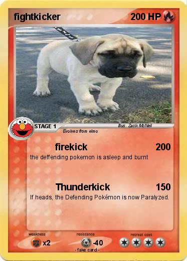 Pokemon fightkicker