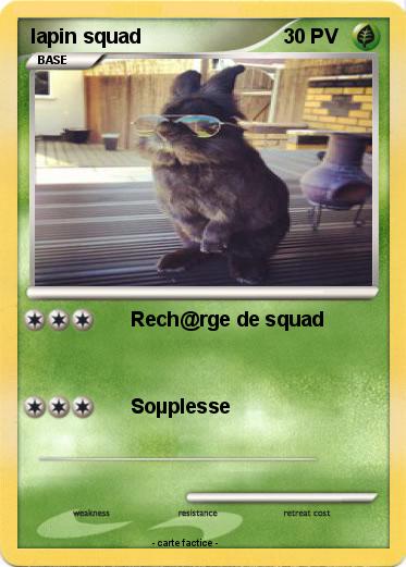 Pokemon lapin squad