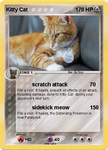 Pokemon Kitty Cat