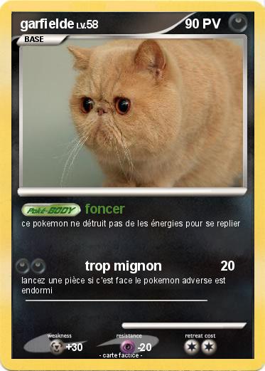 Pokemon garfielde