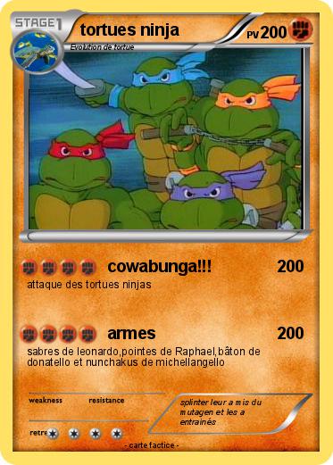 Pokemon tortues ninja