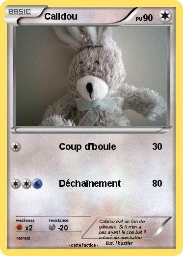 Pokemon Calidou
