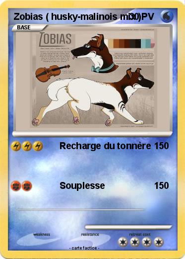 Pokemon Zobias ( husky-malinois mix )