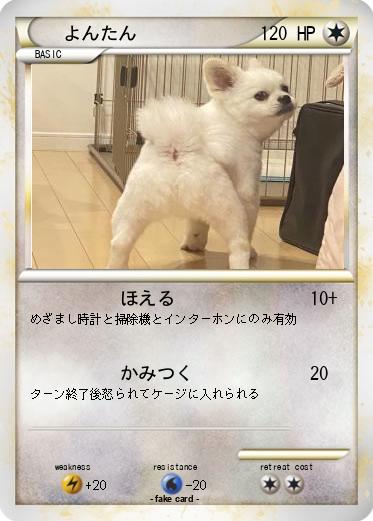 Pokemon よんたん