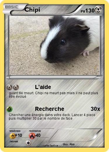 Pokemon Chipi