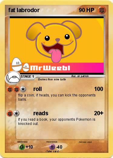 Pokemon fat labrodor