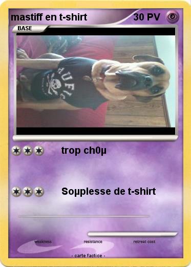 Pokemon mastiff en t-shirt