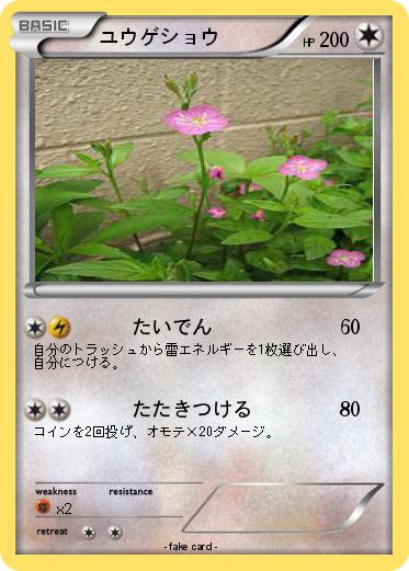 Pokemon ユウゲショウ