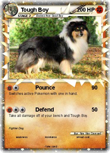 Pokemon Tough Boy