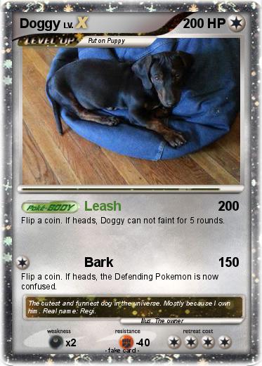Pokemon Doggy