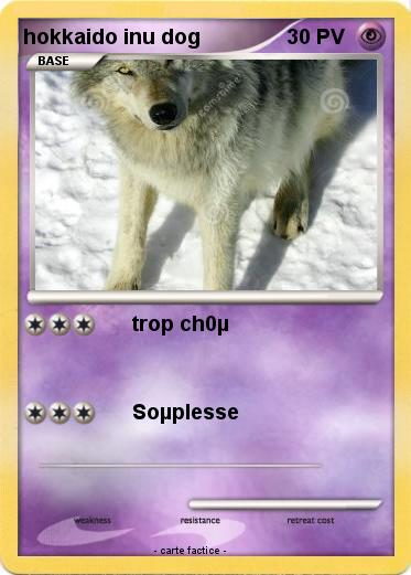 Pokemon hokkaido inu dog