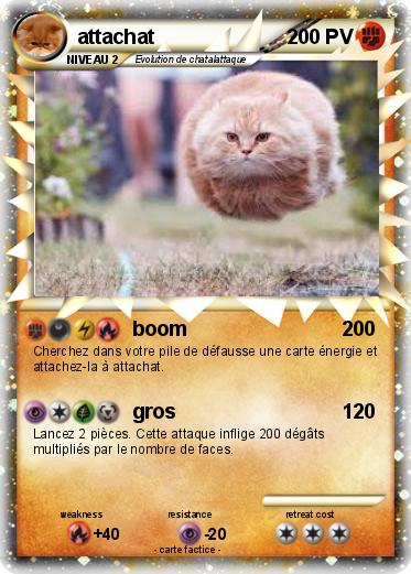 Pokemon attachat