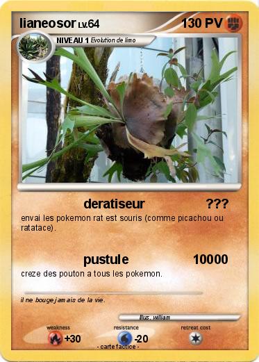 Pokemon lianeosor
