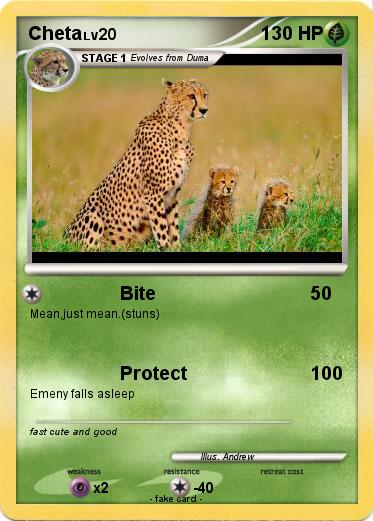 Pokemon Cheta