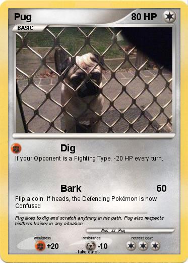 Pokemon Pug