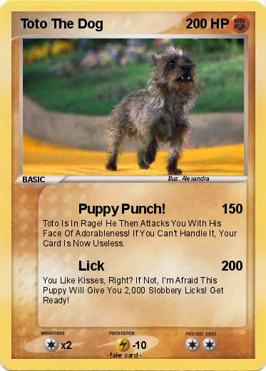 Pokemon Toto The Dog