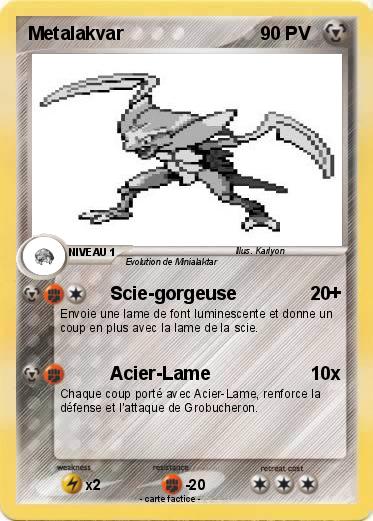 Pokemon Metalakvar
