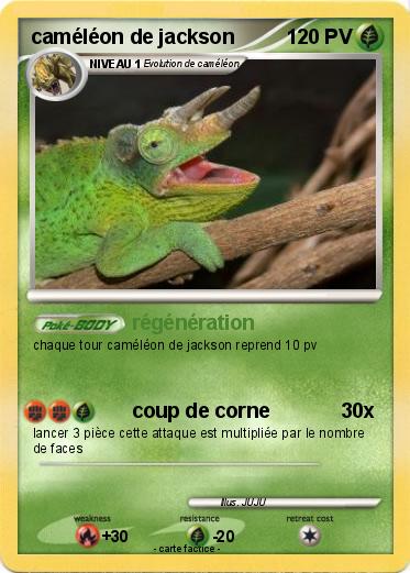 Pokemon caméléon de jackson